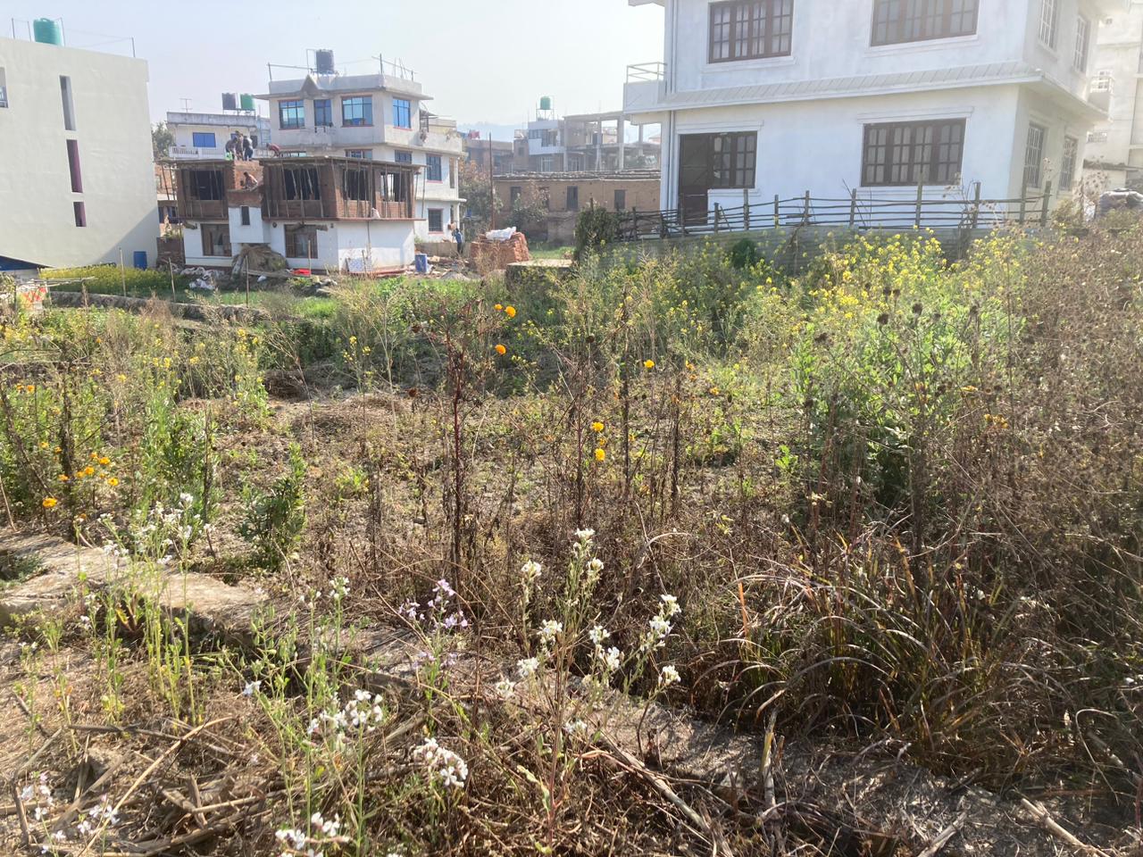 Picture of Mahalaxmi Municipality, Bagmati